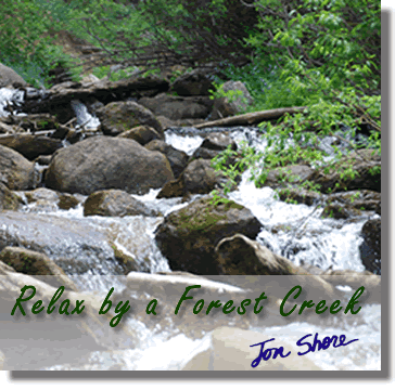 Relax by a Forest Creek by Jon Shore