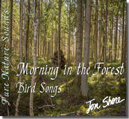 Morning in the Forest  Bird Songs by Jon Shore